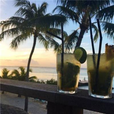 hth会体会官方网页版app下载